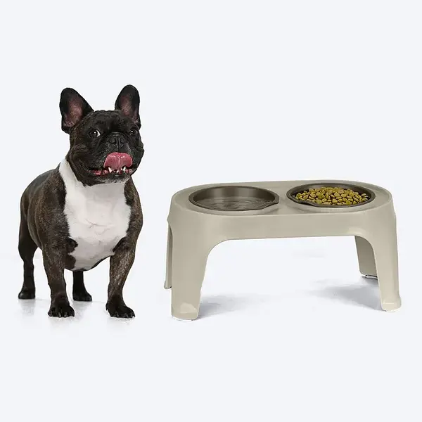 Comedero Alto Para Perro Mediano | Ergonómico Y Resistente
